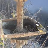 photo 2019-12-30 13-11-13