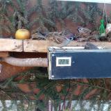 photo 2021-02-15 08-23-53