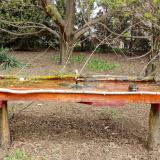 photo 2021-04-11 11-43-26