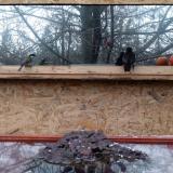 photo 2022-01-20 15-22-46