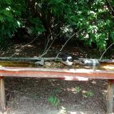 photo 2021-07-26 12-37-24