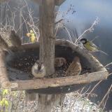 photo 2019-12-29 13-19-18