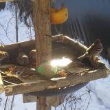 photo 2019-01-27 10-06-13