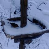 photo 2019-01-05 15-26-54