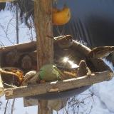 photo 2019-01-27 10-08-51