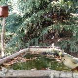 photo 2023-10-04 15-36-20