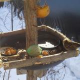 photo 2019-01-27 09-41-55