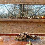 photo 2022-01-23 13-28-51