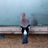 photo 2023-01-13 08-43-09