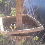 photo 2019-12-17 10-03-39