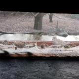 photo 2021-12-04 07-31-53