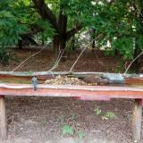 photo 2021-07-22 19-26-30