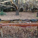 photo 2021-10-26 08-10-43