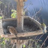 photo 2019-12-20 12-18-52