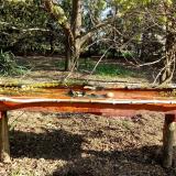 photo 2021-04-10 08-44-45