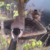 photo 2019-12-12 12-59-37