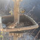 photo 2019-12-30 11-25-08