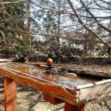 photo 2022-03-13 09-48-50