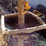 photo 2019-02-06 09-40-48