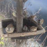 photo 2019-12-29 13-22-05