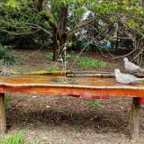 photo 2021-04-19 12-53-08