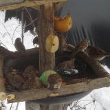 photo 2019-01-27 13-18-32