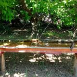 photo 2021-05-10 12-35-21