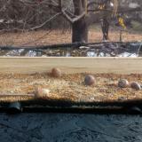 photo 2021-11-10 10-33-48