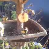 photo 2019-12-03 13-56-56