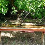 photo 2021-05-12 09-50-32