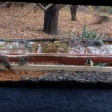 photo 2021-11-08 13-18-14