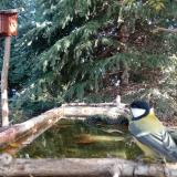 photo 2023-10-12 10-20-16