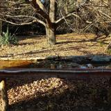 photo 2021-10-25 15-32-57