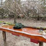 photo 2021-03-24 08-42-07