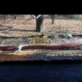 photo 2021-11-27 13-10-33