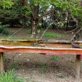 photo 2021-04-26 14-06-22