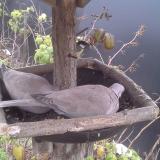 photo 2019-12-06 07-55-00