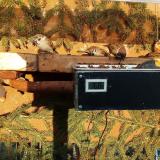 photo 2021-02-27 16-25-11