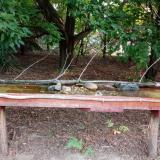 photo 2021-07-26 06-07-51