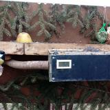 photo 2021-02-08 14-14-42