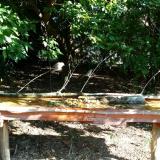 photo 2021-09-08 09-41-27