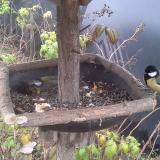 photo 2019-12-09 14-47-23