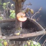 photo 2019-12-05 13-47-26