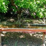 photo 2021-05-11 11-34-33