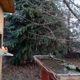 photo 2021-12-15 08-54-58