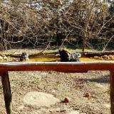 photo 2021-03-13 09-23-16