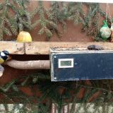 photo 2021-02-01 12-01-46