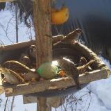 photo 2019-01-27 10-06-22