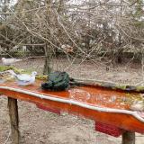 photo 2021-03-22 12-00-53