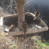 photo 2019-03-15 09-00-36